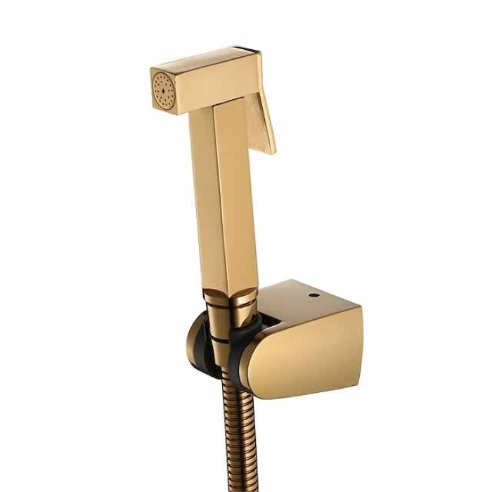 Single Hole Bidet Electroplated Toilet Handheld Bidet Sprayer Self-Cleaning Contemporary