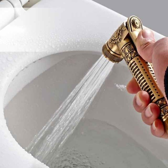 Self-Cleaning Bidet Antique Copper Single Hole  Brushed Chrome