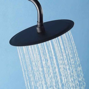 Water-Saving Round Shower Head, Contemporary Luxury Rain Shower Head in Painted Finishes